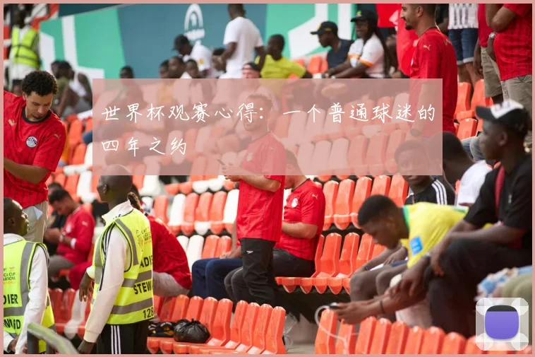 世界杯观赛心得:一个普通球迷的四年之约