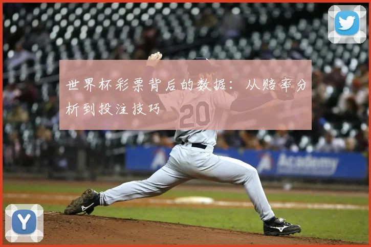 世界杯彩票背后的数据：从赔率分析到投注技巧