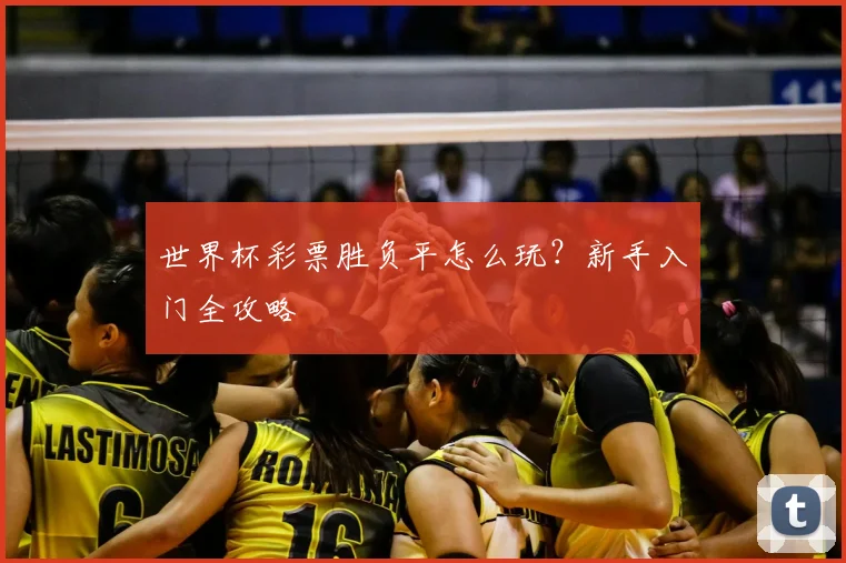 世界杯彩票胜负平怎么玩？新手入门全攻略
