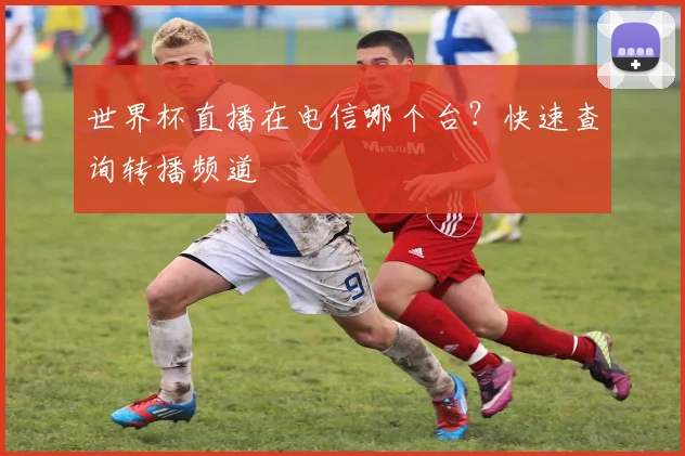 世界杯直播在电信哪个台？快速查询转播频道
