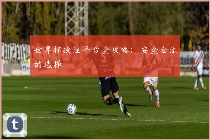 世界杯投注平台全攻略：安全合法的选择